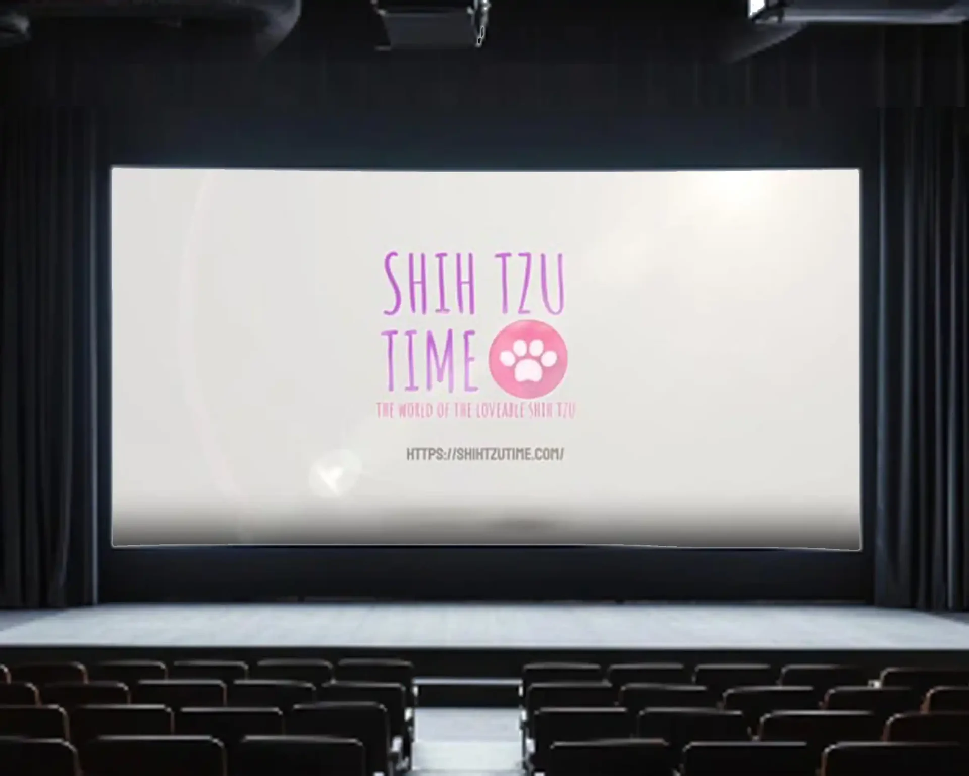 Shih Tzu Time Logo Reveal
