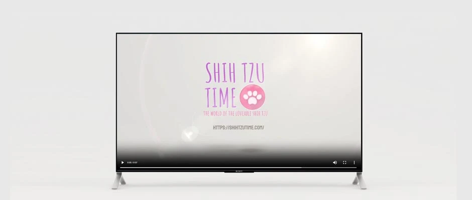 Shih Tzu Time Logo Reveal