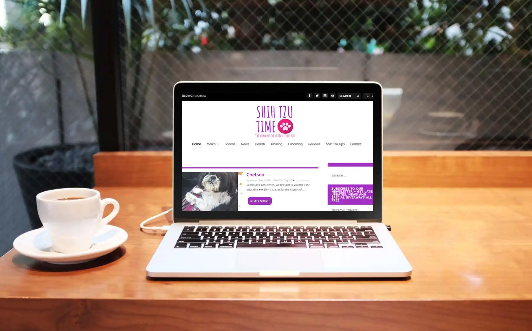 Shih Tzu Time Website